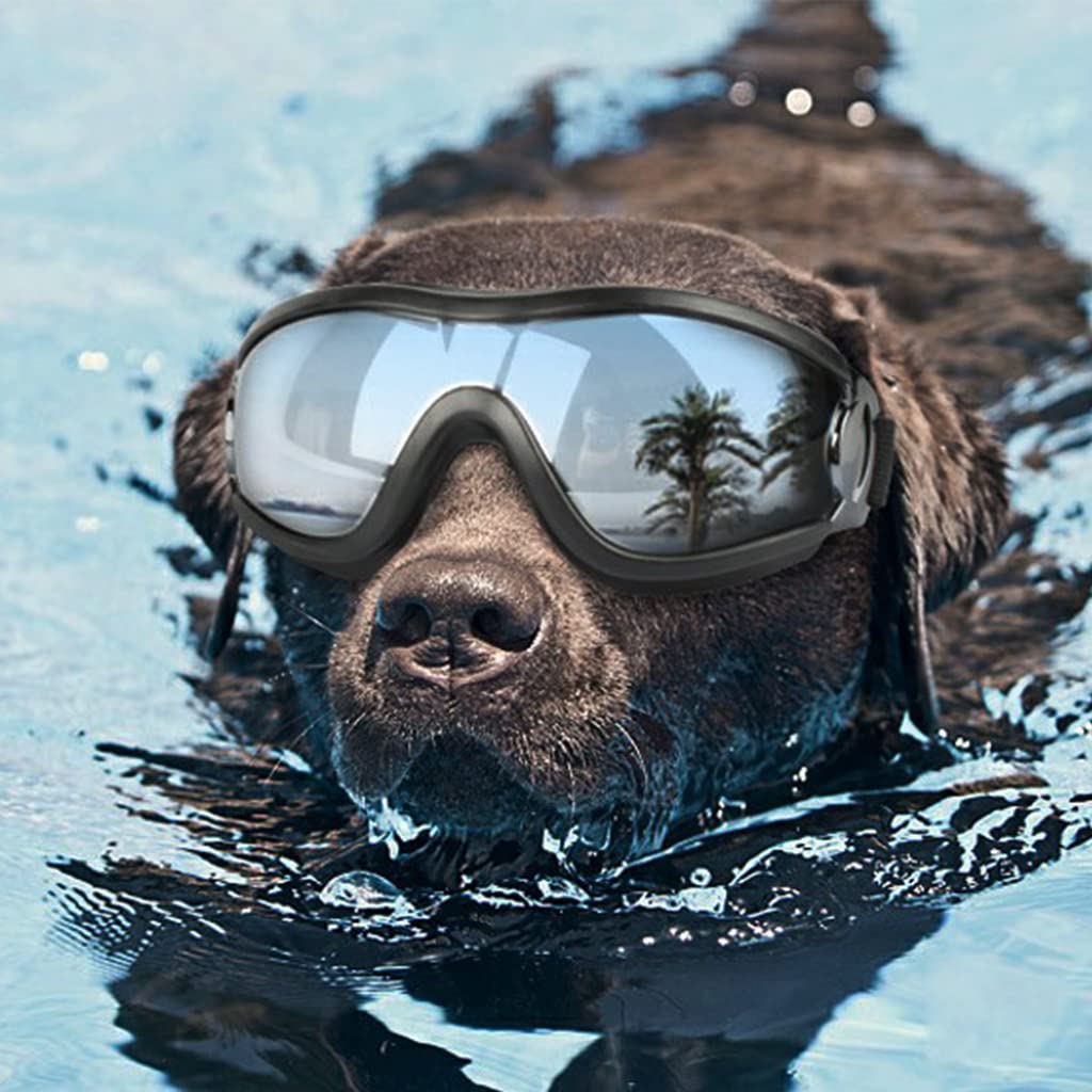 Qpets Dog Goggles Sunglasses for Outdoor Walking, Windproof Dustproof Goggle for Dogs UV Protection Goggles with Dual Adjustable Straps for Medium or Large Dog Fun Goggle for Dogs Qpets Dog Goggles Sunglasses for Outdoor Walking, Windproof Dustproof Goggle for Dogs UV Protection Goggles with Dual Adjustable Straps for Medium or Large Dog Fun Goggle for Dogs